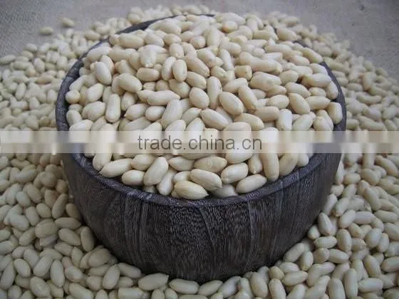 High quality blanched peanuts hot sale wholesale peanuts from china