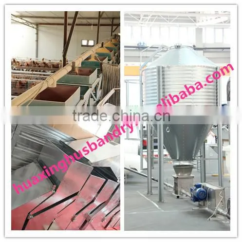 chicken broiler /cock cage with automatic poultry equipment