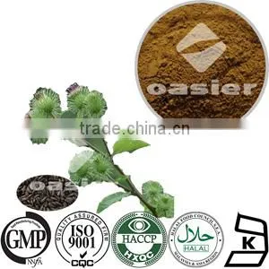 Arctium Lappa Extract 10%Arctiin CAS No.:20362-31-6 Arctium Lappa L