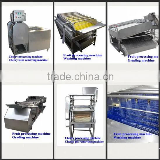Industrial use automatic big capacity cherry pitter machine/cherry seed removing machine