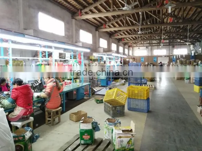 Foshan City KYOK Houseware Co., Ltd. company overview - view 4