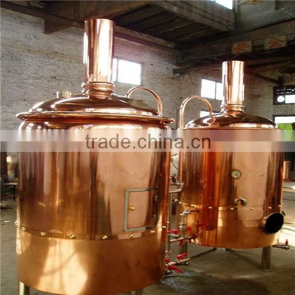 100L mini brewery equipment