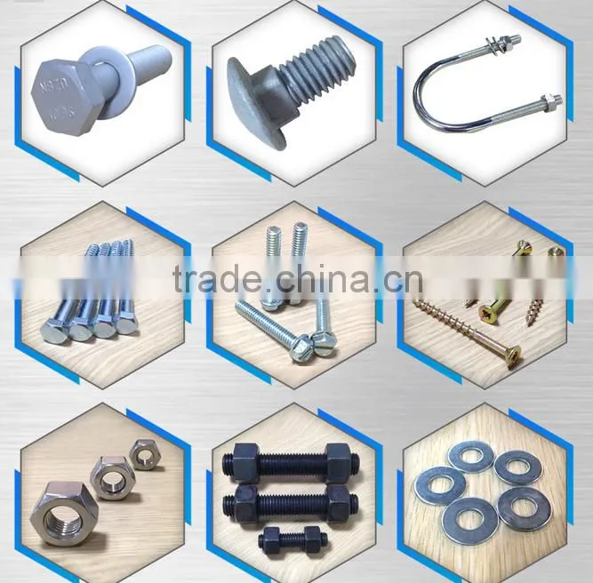 Sus 316 stainless steel hexagon socket head cap screw