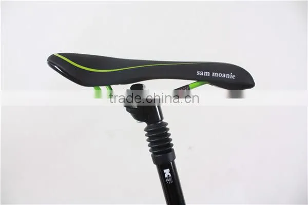 EU Standard electric mountain bike/MTB,Suitable for outdoor sports or touring,2013 New MTB