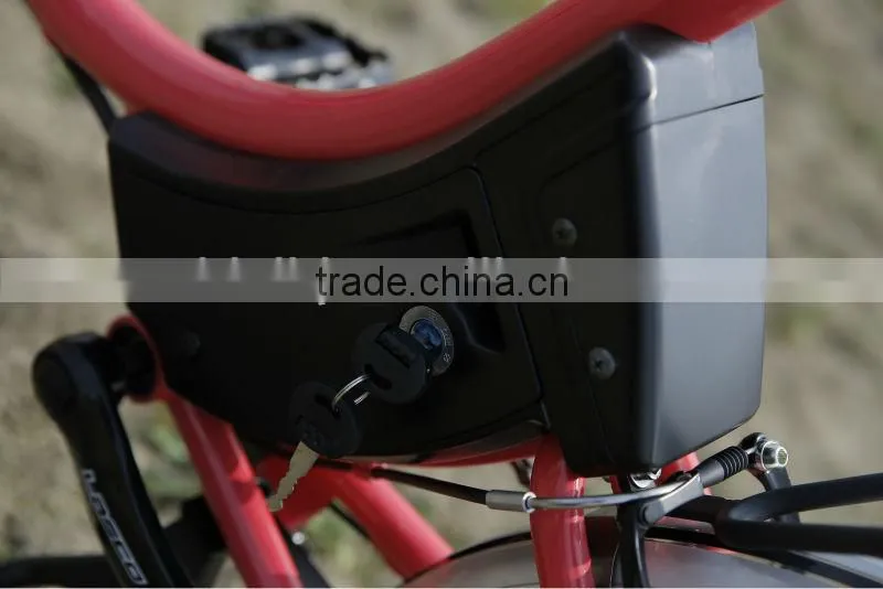 Small city e bike 2014 new design brushless motor wheel e bike