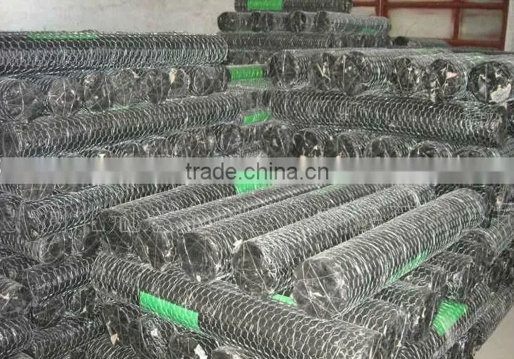 Electro Galvanized Hexagonal Wire Mesh