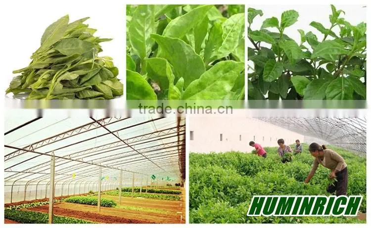 Huminrich Solubility High Quality Increase Vegetable Yield Potassium Humate Fertilizer