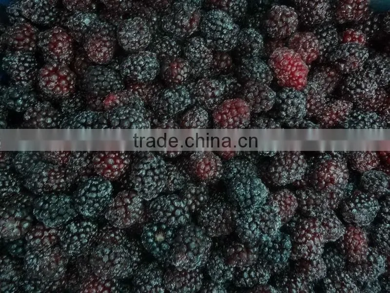 Supply Conventional Frozen Blackberry