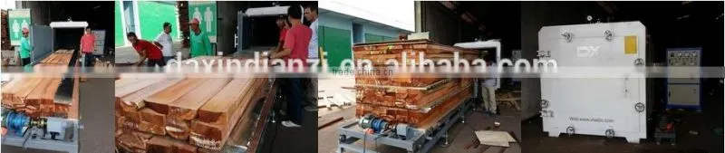 DX-12.0III-DX China Best Enegry Saving Softwood and Hardwood Lumber Dry kiln