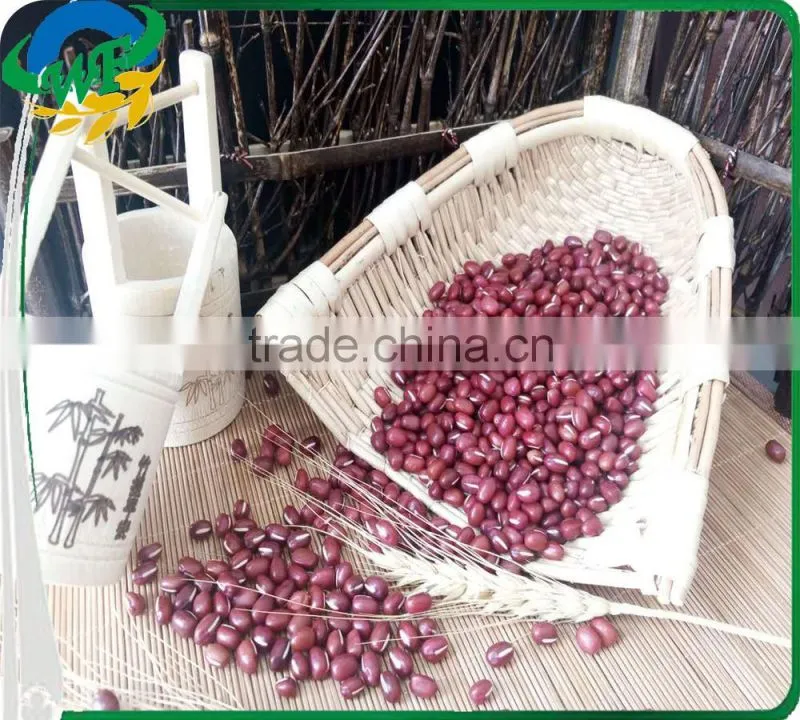 Chinese Adzuki Beans for Europ
