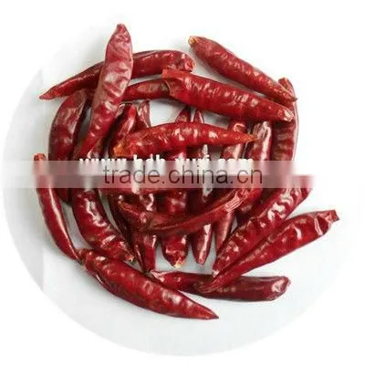 red hot chaotian chilli