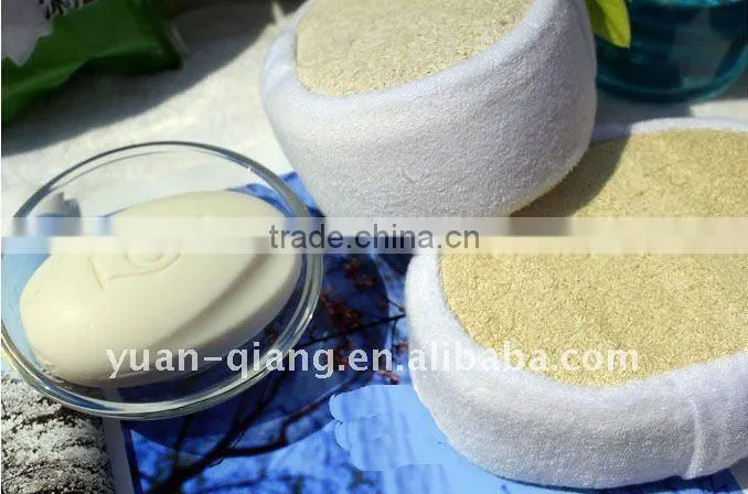 Loofah Sponge