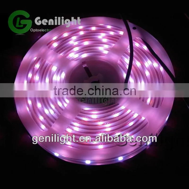 Tiras de led 5 m flexivel