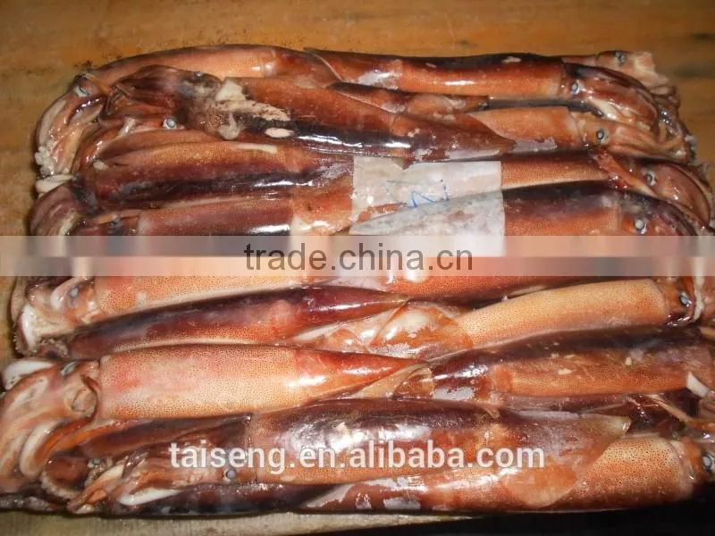 California Frozen Fresh Whole Round Squid With Price