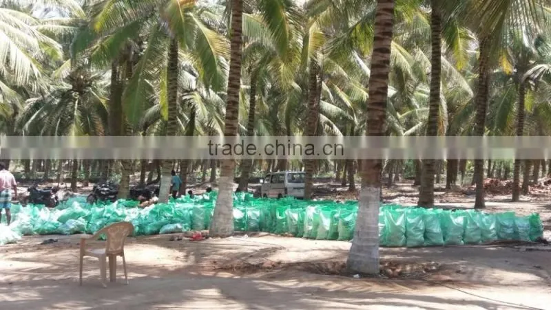 semi husked coconuts !!! Bulk order !!!