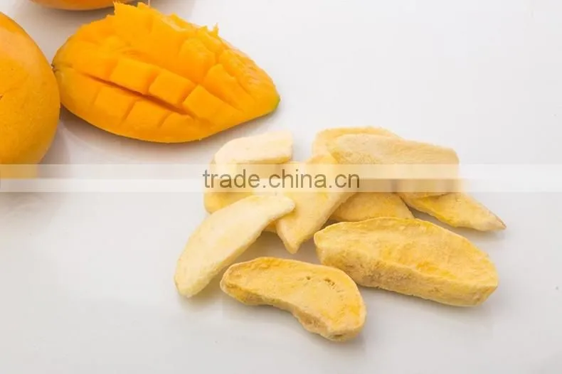 Natural Freeze Dried Mango