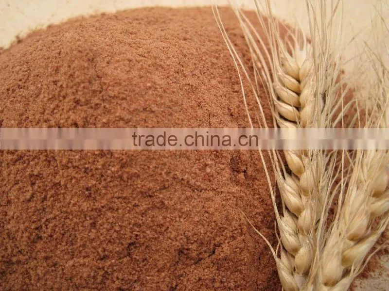 Malt peyocactine extract brewing,beer malt extract powder