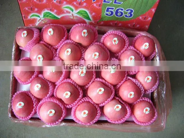 Apple Fruit Price
