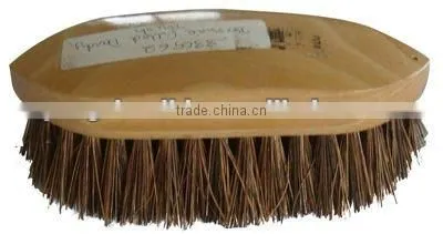 long pp bristles equestrian grooming products