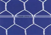 hexagonal wire mesh