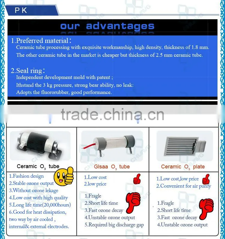 China factory price 1g 3g 5g 6g 7g ozone tube / ozone generator cell
