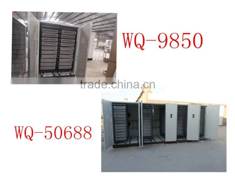 Hot sale 288 quail egg mini incubator price in ChinaWQ-72