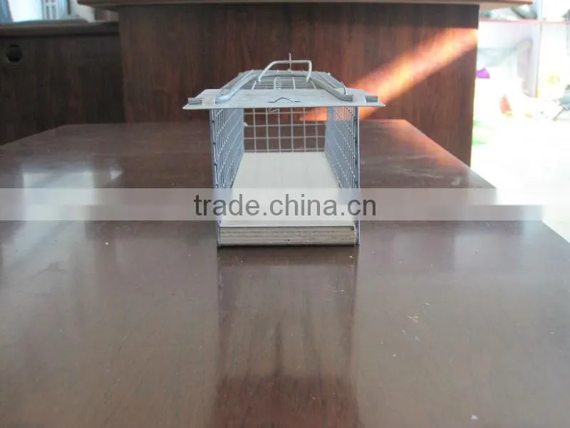 Cheap Galvanized Steel Mouse Trap Cage