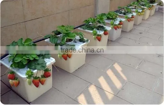 Hydroponics Grow Bato Bucket for Vegetables
