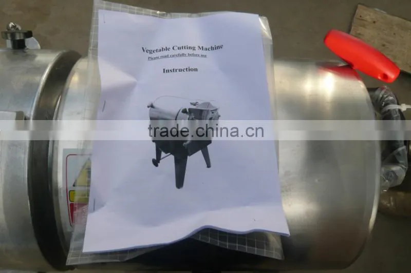 Jinan eagle Plantain chips production line