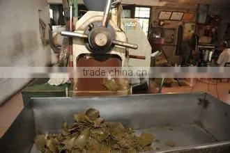 high quality olive oil extraction machine/seed oil extraction machine/palm kernel oil extraction machine