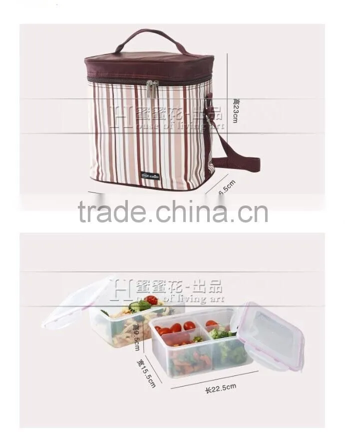 Waterproof 8.9L Travel Picnic Lunch bag Snack Tote Isothermic Cooler Handbag With Set of Lunch Box