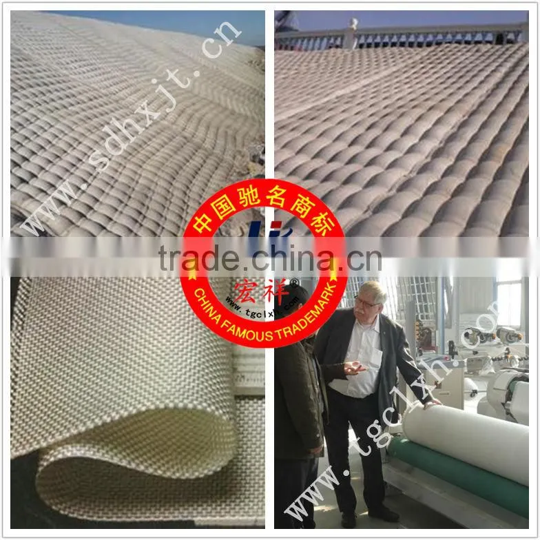 Filament woven geotextile polyester forming fabric mesh fabric