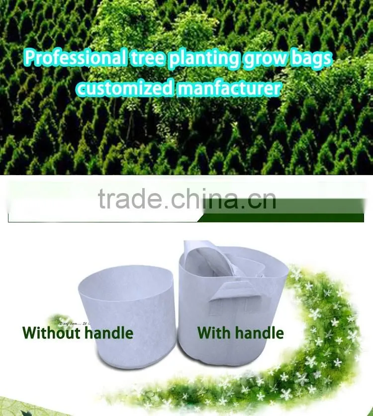 customized weight non woven tree and plant grow bag,planting bags, tree planting bag