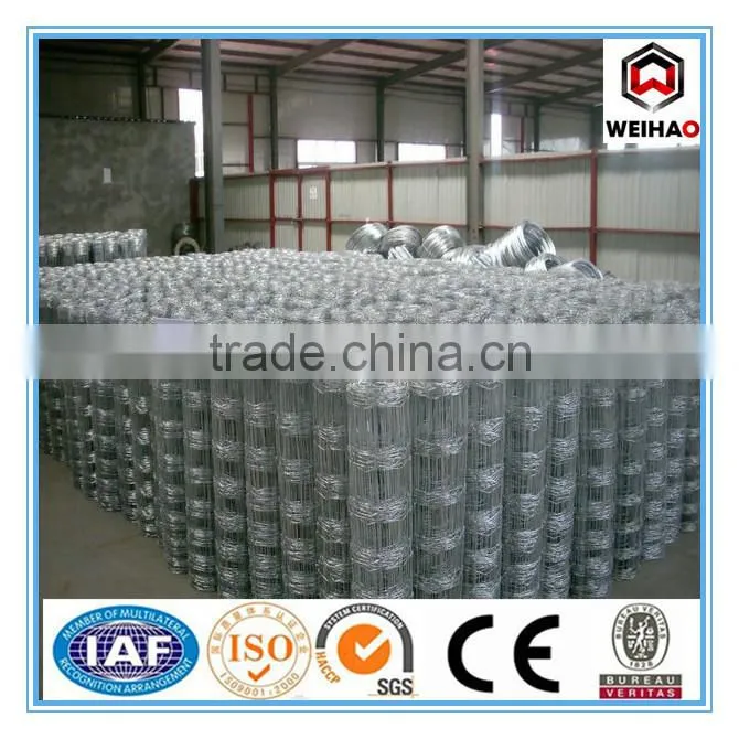 High Quality Galvanized Calf Cattle Fence
