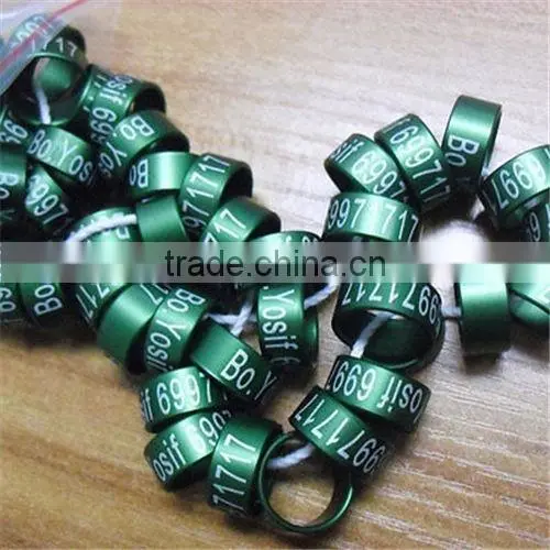 Matal Pigeon Racing Ring