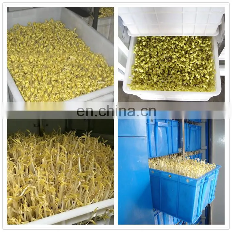 grass wheat barley fodder hydroponic green forage machine for sheep cow