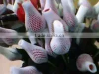 EPE Foamed Fruit Packing Production Line(TYEPEW-75CE APPROVED)