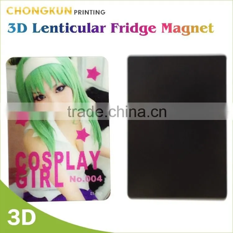 Beautiful Fridge Acrylic Magnet Souvenir For Promotion