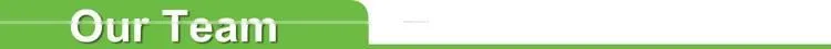 Promotional wholesale A4 Clear PP L Shape File Folder