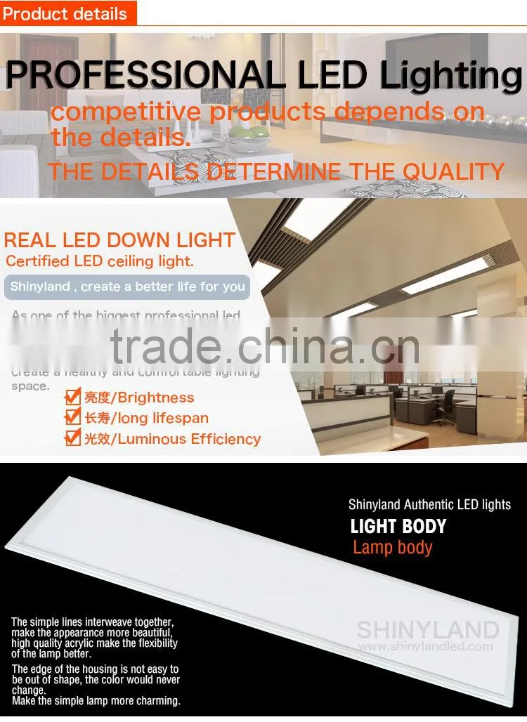 Netherland wanted high quality 300 1200mm led panel lights with high quality