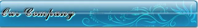 Wrought Iron Hole Bars Factory Price