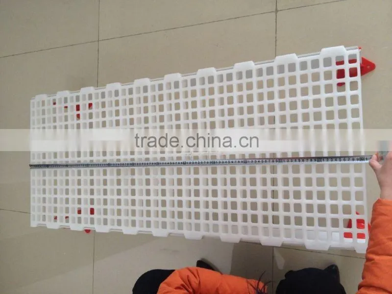 Poultry flooring for chicken farms, plastic slat for poultry farming equipment (Professional Manufacturer)