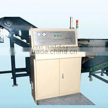 potato production line