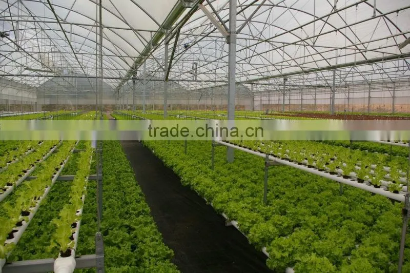 Professional Hydroponics / NFT / Trough Growing Gutter for Polycarbonate / Poly Film Multi Span Greenhouse