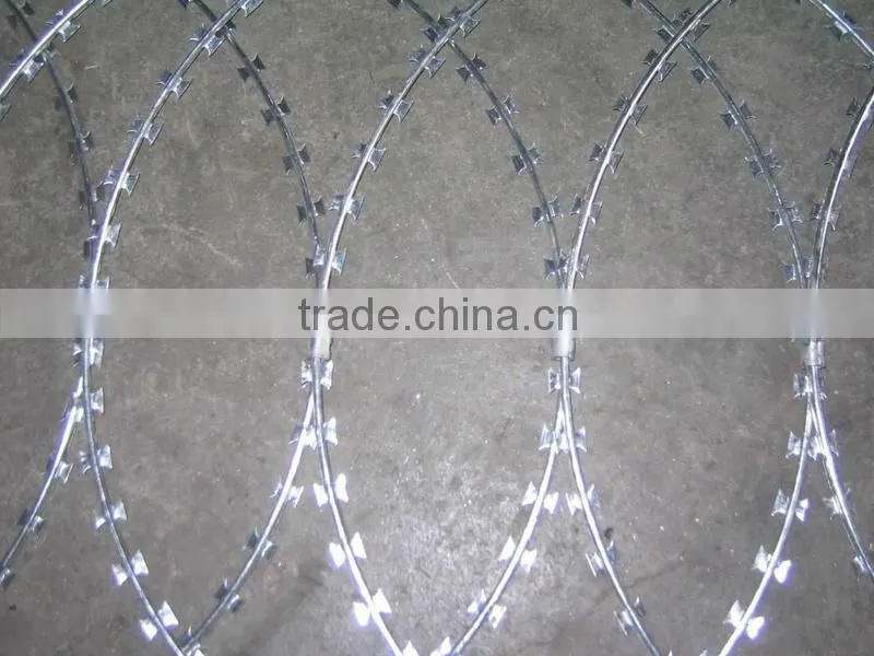 Sanaqiang rozor barbed wire factory manufacture(gold)