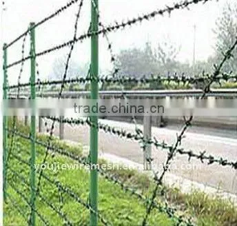 BWG 12 Gauge Barbed Iron Wire(Manufacturer)