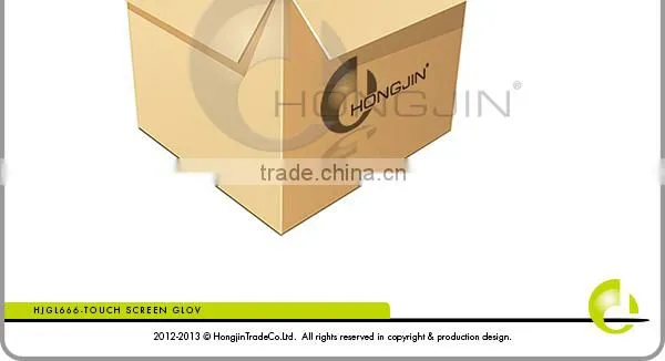 Chinese Smartphone Conductive Function Gloves