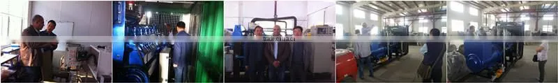 AC Three Phase Output Type biomass gas electric generator