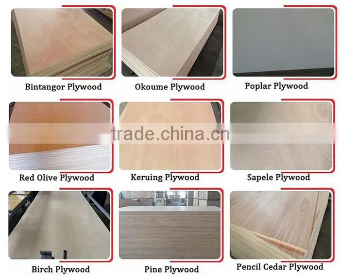 High Qualiry Paper Faced Fancy Plywood