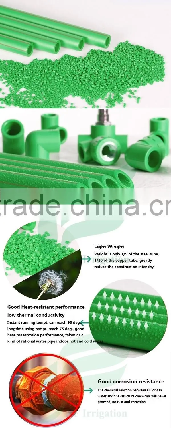 PPR Pipe and Fittings